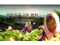 [홍보영상] 인삼의무자조금 안내