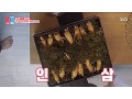 [방송협찬] SBS_동상이몽(190325)