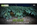 [방송협찬] SBS 생방송 투데이(200528)