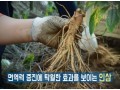 [방송협찬] KBS 무엇이든 물어보세요 (200924)