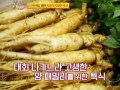 [방송협찬] KBS2 사장님 귀는 당나귀 귀 (200712)