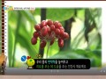 [방송협찬] SBS 요리조리 맛있는 수업 (200811)