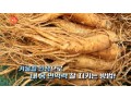 [방송협찬] TV조선 슬기로운아침(250114)