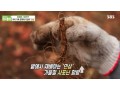 [방송협찬] SBS 생방송투데이(231108)