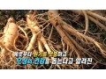 [방송협찬] KBS1 무엇이든물어보세요 (221028)