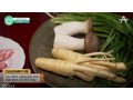 [방송협찬] 채널A 행복한아침(230323)
