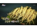 [방송협찬] KBS2아침이좋다 (190816)